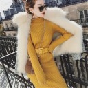 Autumn Knit Dress with Roll Neck 7