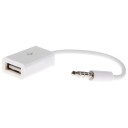 AUX 3,5 mm jackstik til USB-adapter 2
