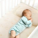 Baby elefant madrasbeskytter 2