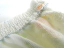 Babyblebadedragt i bomuld J477 3