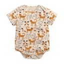 Babypunten N860 3