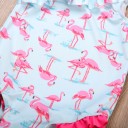 Badedragt til piger - Flamingoer 5