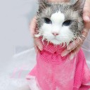 Badenet til katte 2