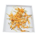 Bag Clips with Bow 100 pcs 5