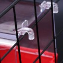 Bagnetta per uccelli 6