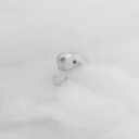 Bague femme baleine 5