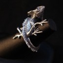 Bague lézard 1