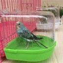 Baignoire pour oiseaux 2