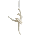 Ballet de Noël à suspendre 2