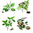 Balsamo idratante per labbra G3031 2