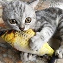 Bamse til katte Fisk 20 cm Bidelegetøj til katte Interaktiv kradse- og bidering Blødt plys til katte 4