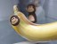 Banán tok 3