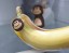 Bananenetui 3