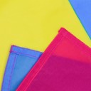 Bandeira pansexual 60 x 90 cm 3