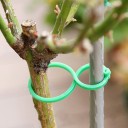 Bandes pour plantes 100 pcs C913 2