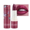 Batom mate hidratante à prova de água 3,8g Batom de longa duração Cores intensas Cuidados labiais Textura luxuosa Composição suave Cosméticos Beleza 8
