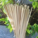 Bâtonnet de marquage pour plantes 50 pcs 4