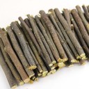 Bâtonnets pour rongeurs 10 pcs 4