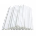 Bâtons à sucettes 100 pcs 1