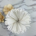 Bâtons à sucettes 100 pcs 5