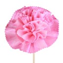Bâtons pour diffuseur d'arôme avec fleurs 5 pcs 10