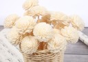 Bâtons pour diffuseur d'arôme avec fleurs 5 pcs 3