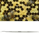 Bee Keeping Stainless Steel Queen Rearing Spoon 4