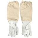 Beekeeping Suit with Gloves 3