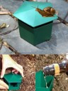Beer Trap for Slugs H957 2