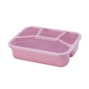 Bento box avec quatre compartiments séparés pour emporter Transparent couvercle En plastique et paille traitée 21,5 x 16,2 x 5,5 cm 3