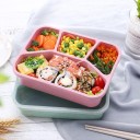 Bento box com quatro divisórias separadas para comida para levar Tampa transparente De plástico e palha processada 21,5 x 16,2 x 5,5 cm 7