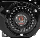 Benzínový Motor 4-taktní 7,5 HP 210 ccm OHV Vzduchové Chlazení Ruční i Elektrický Start 39,9 x 25,4 x 32,8 cm Černý Motokáry a Generátory 5