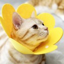 Beschermhalsband voor kat gele bloemenvorm maat L Postoperatieve halsband Verstelbare omtrek Vilt halsband tegen likken 2