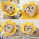 Beschermhalsband voor kat gele bloemvorm maat S Postoperatieve halsband Verstelbare omtrek Vilt halsband tegen likken 4