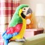 Beszélő papagáj 1