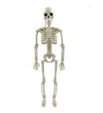 Bevægelig falsk skelet uhyggelig halloween-dekoration halloween-festdekoration justerbar menneskeskeletstatue hængende skelet 90 x 24 cm 1