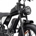 Bicicletta elettrica da montagna Fat bike Motore 250 W Batteria 48 V 15,6 Ah Full suspended Shimano 7 velocità Pneumatici 20 x 4 pollici Nera Per 2
