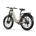 Bicicletta elettrica per adulti con display da 3,5" 2000W Due motori 48V 17,5Ah 840Wh 2 posti 7 velocità Freni idraulici Luce 50 km/h Pendenza 40° 2