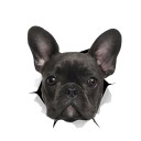 Bilklistermærke hund A1433 1