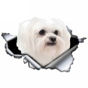 Bilklistermærke hund A1632 9