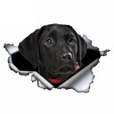 Bilklistermærke hund A1636 3