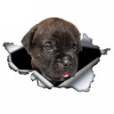Bilklistermærke hund A1636 5