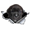 Bilklistermærke hund A1636 8