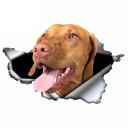 Bilklistermærke hund A1637 11