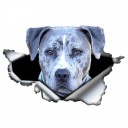 Bilklistermærke hund A1637 4