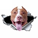 Bilklistermærke hund A1637 9