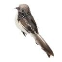 Bird Decoration C499 2