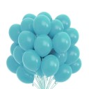 Birthday Balloons 25 cm 10 pcs T820 12
