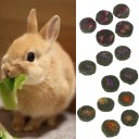 Biscotti di erba per roditori 5 pz 1