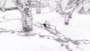 Blanc Steam CD Kľúč 3